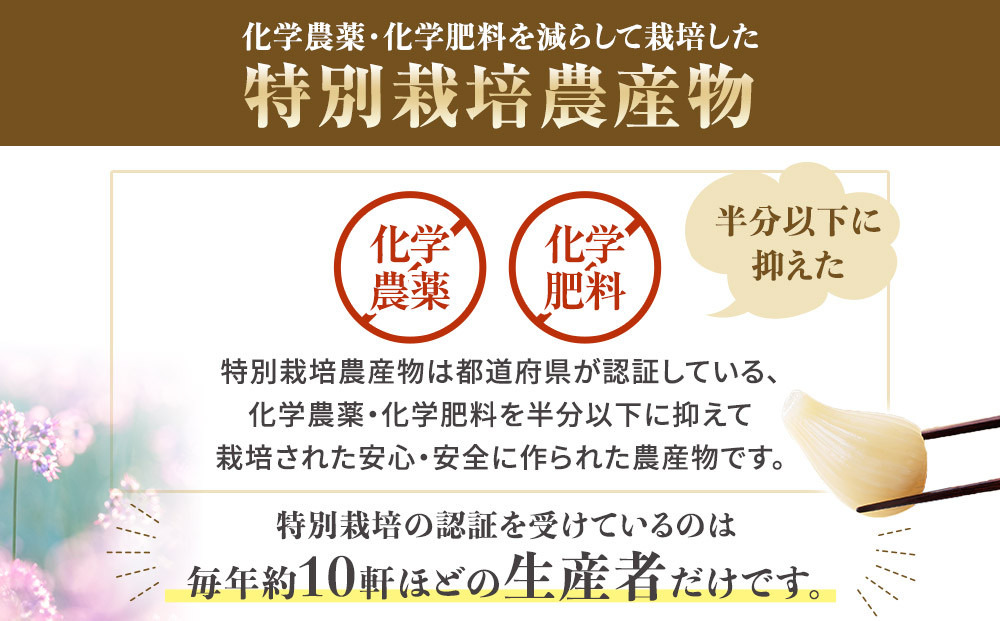 326.生ラッキョウ　計4kg（ラクダラッキョウ×2kg　玉ラッキョウ×2kg）　※2026年5月下旬～7月上旬頃に順次発送予定