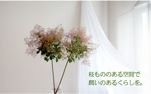 674.【月1回・12ヶ月定期便】旬をかざる枝もの定期便（年12回）＋初回ガラスベース付き