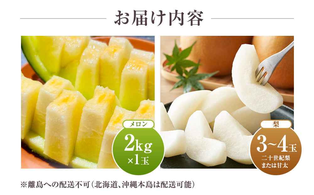 【先行予約】924.【ふるさと納税】【青肉系メロン】ディーバ（メロン）と旬の梨セット※離島への配送不可（北海道、沖縄本島は配送可能）