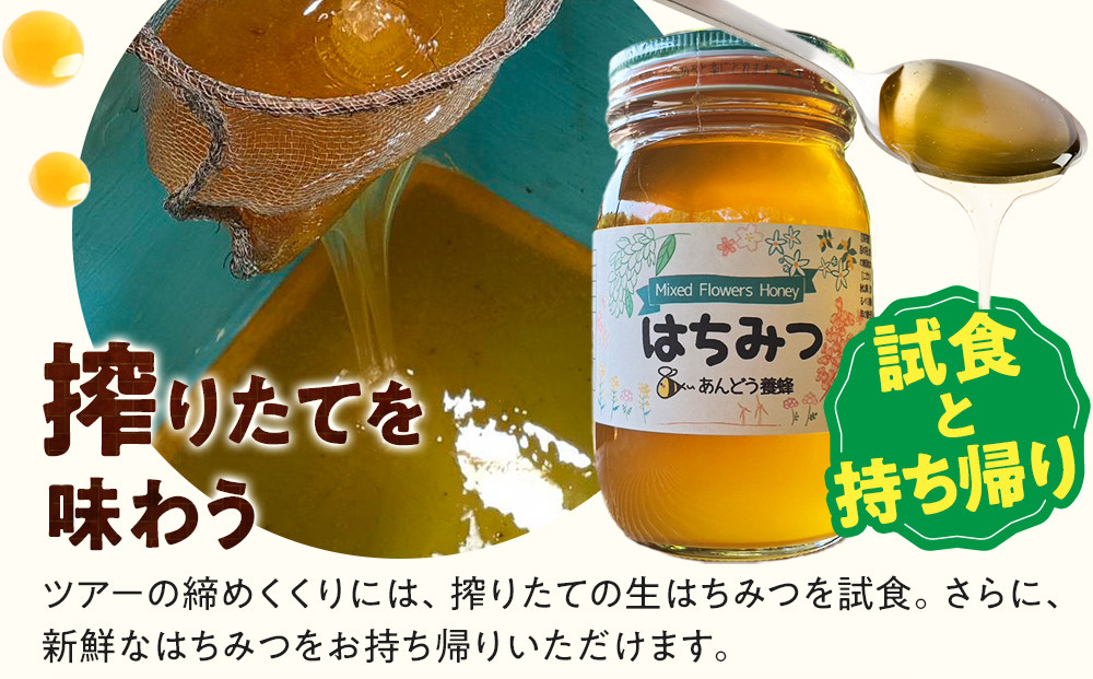 1283.【要予約 親子用（大人1名様+小学生1名様）】あんどう養蜂 まるごと養蜂体験（約3時間）はちみつ大人：600g、小学生：300g付き