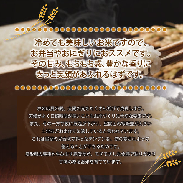 1109.令和7年産　山崎農園こしひかり玄米　10kg