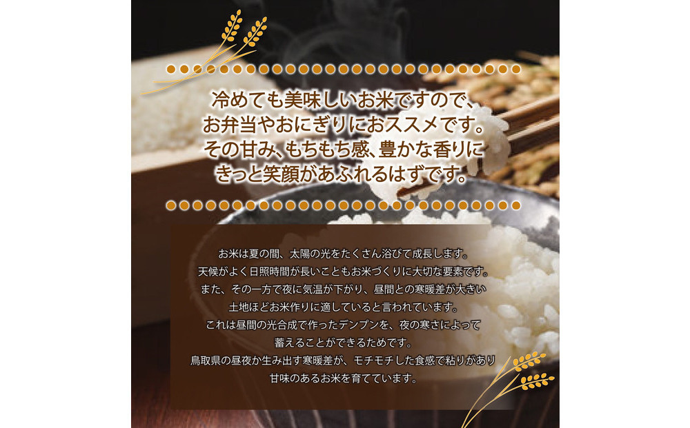 1106.令和7年産　きぬむすめ玄米 5kg