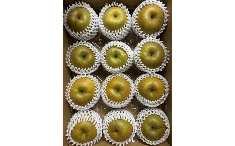 1121．【2026年度発送先行予約】数量限定　新甘泉　5kg