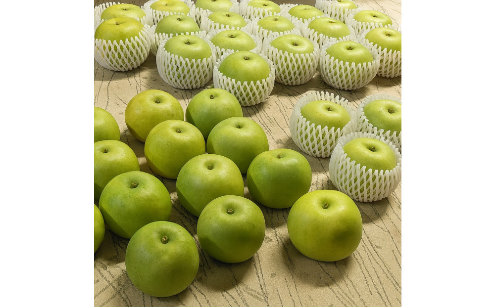 1263.【2026年度発送先行予約】数量限定　二十世紀梨　3kg