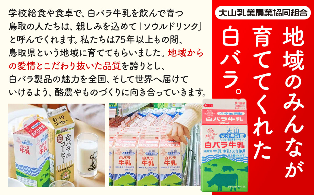 384.みるく畑8個入り※離島への配送不可