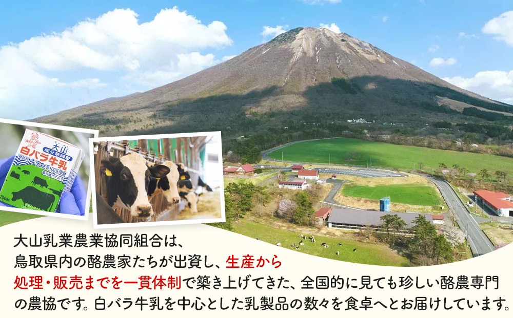 1077.収穫祭10個入