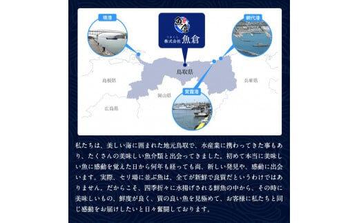 【活】鳥取ブランド　松葉ガニ　『五輝星』※2025年11月上旬～2026年3月下旬頃に順次発送予定※着日指定不可