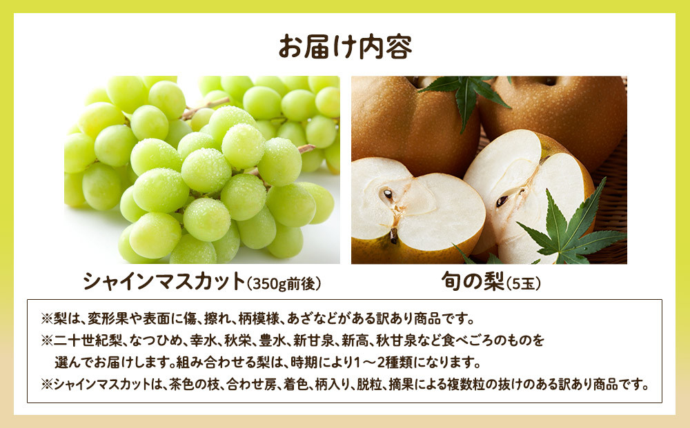 955.【先行予約】【訳あり】シャインマスカット（350ｇ前後）と旬の梨（5玉）セット≪ぶどう、マスカット、ブドウ、葡萄、なし 果物 フルーツ くだもの 鳥取県北栄町≫※8月下旬頃～9月中旬頃に順次発送