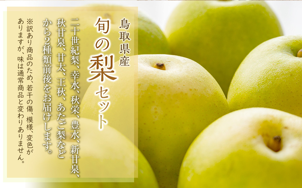 【訳あり】鳥取県産旬の梨セット 4kg ≪果物 フルーツ くだもの≫　※2025年8月下旬頃～12月下旬頃に順次発送予定