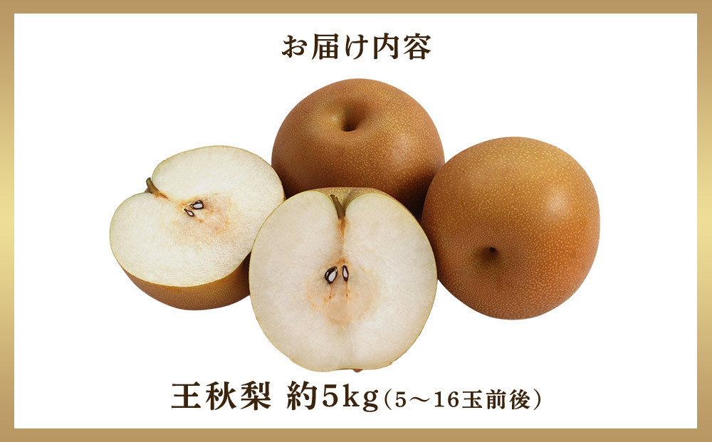 297.【先行予約】王秋梨　5kg前後（5～16玉前後）≪果物 フルーツ くだもの≫　※2026年10月下旬～12月上旬頃に順次発送予定