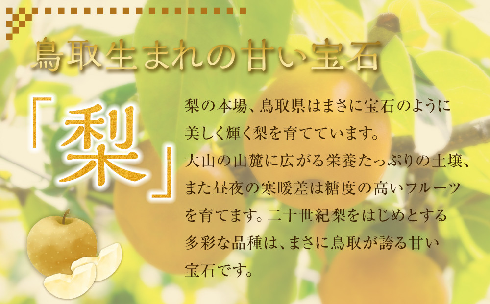 338.【先行予約】富有柿と王秋梨の３kgセット　※2026年11月上旬～12月上旬頃に順次発送予定