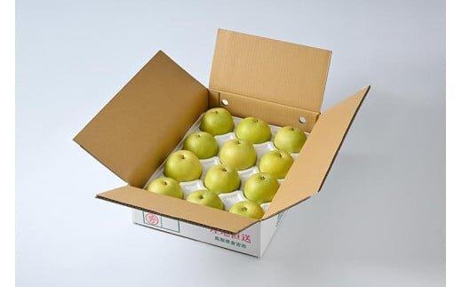 610.【先行予約】【家庭用】二十世紀梨 5kg前後 (10個～16個前後) 鳥取県産 梨 なし※着日指定不可※2026年8月下旬～9月中旬頃に順次発送予定