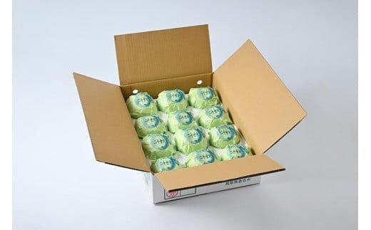 609.【先行予約】【贈答用】 二十世紀梨 5kg前後 (10個～14個前後) 鳥取県産 梨 なし※着日指定不可※2026年8月下旬～9月中旬頃に順次発送予定