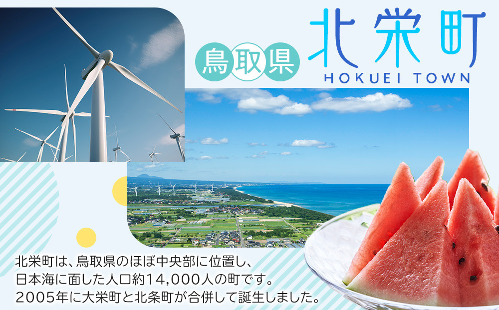 【先行予約】【JA】巨峰（種なし）赤秀2kg箱（3～5房入）※着日指定不可 ※離島への配送不可 ※2026年8月初旬頃～8月中旬頃に順次発送予定