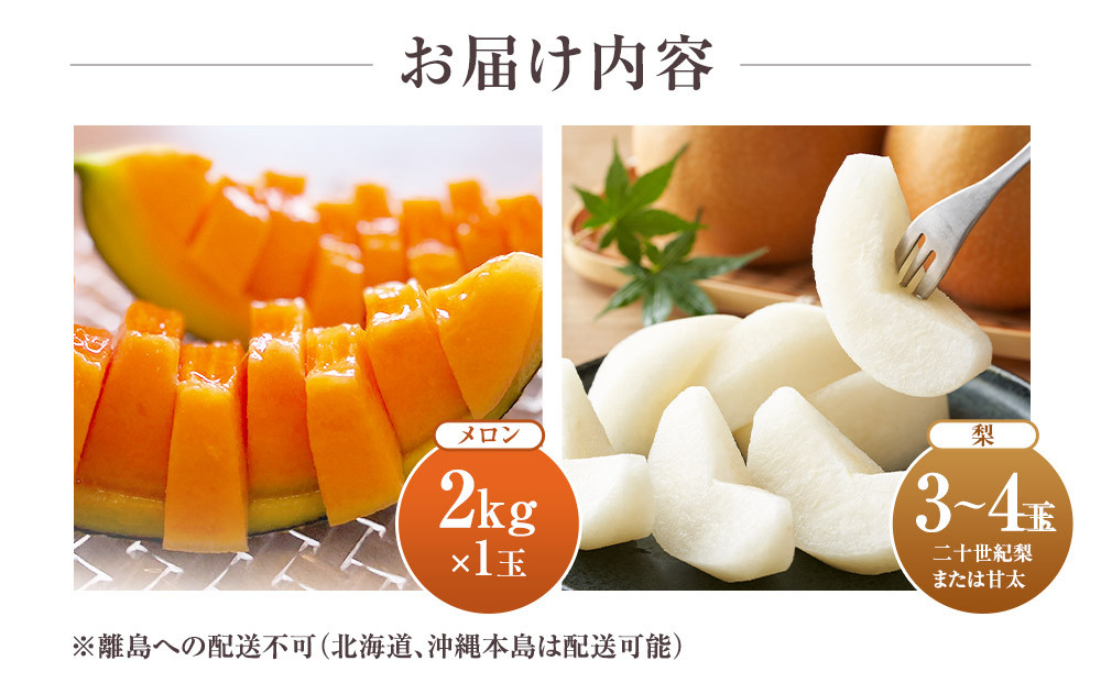 【先行予約】925.【ふるさと納税】【赤肉系メロン】プリモレッド (メロン) と旬の梨セット※離島への配送不可（北海道、沖縄本島は配送可能）