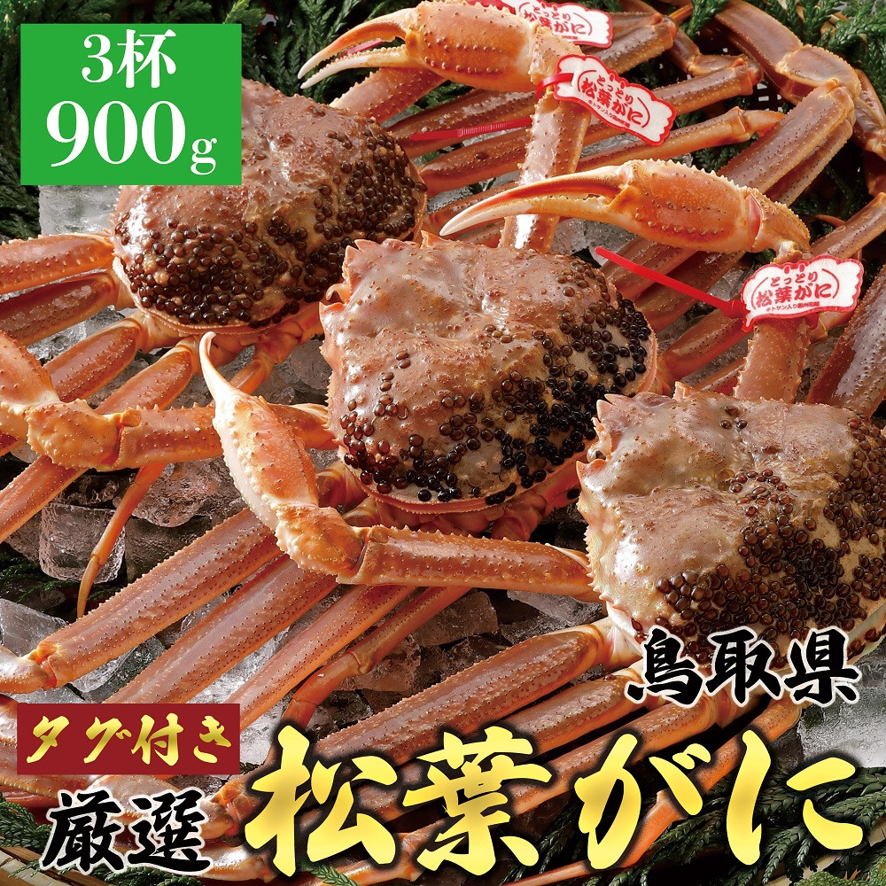 1057.【2025年12月～2026年1月発送】特撰 松葉がに（なま）【訳あり】500g超のサイズ 食べ応えあり 2杯