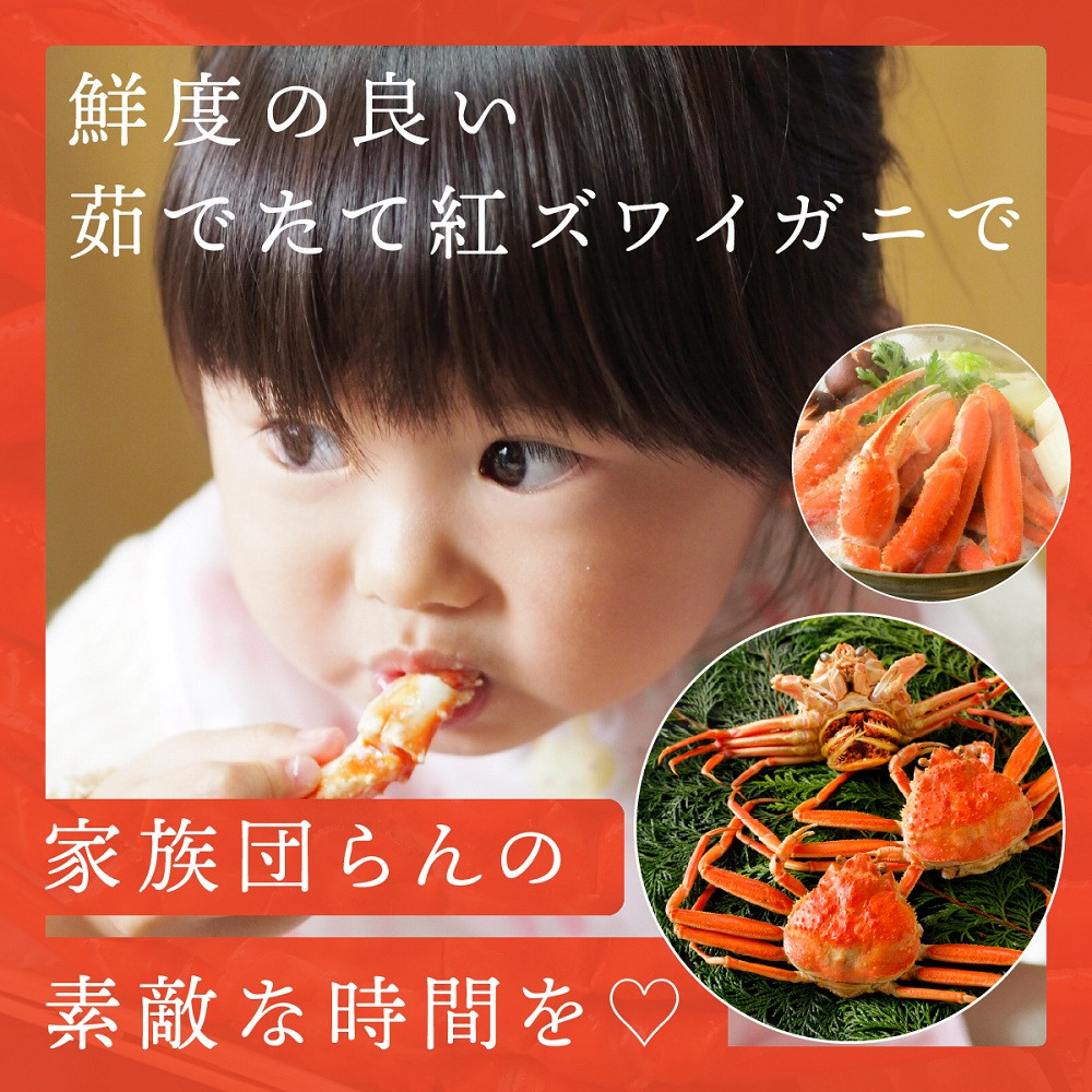 1076.鳥取産 特撰 紅ズワイガニ【釜茹で】3kg 6～7杯