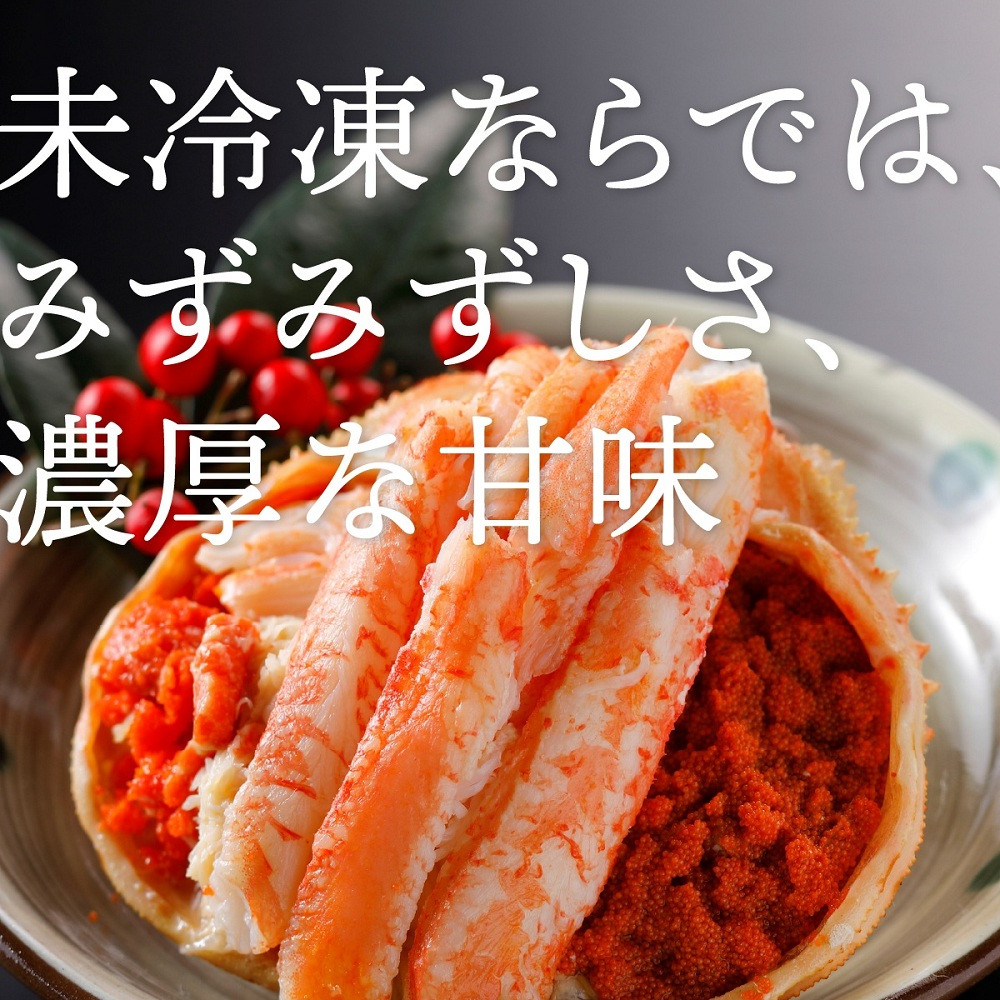 1271.甲羅盛り かに セコガニの甲羅盛 鳥取からお届け！ 8個入り