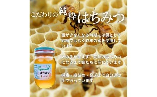 ※受付停止25.5.13※945.天然はちみつ トチ 600g×1本  蜂蜜 ハチミツ ハチ蜜 鳥取県産◇日本全国配送可能