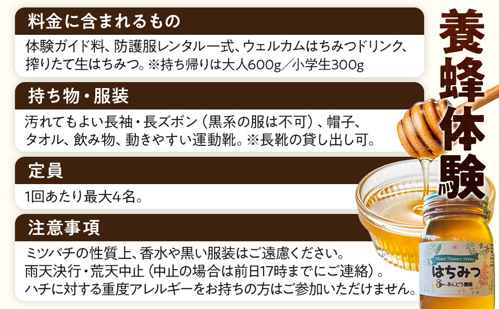1282.【要予約 大人1名様用】あんどう養蜂 まるごと養蜂体験（約3時間）はちみつ600g付き