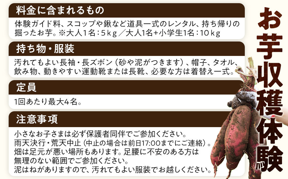 1285.【要予約 親子用（大人1名様+小学生1名様）】北栄町 お芋収穫体験　長芋・ねばりっこ・とっくり芋・里芋・さつまいも　掘ったお芋5kg×2名様分付き