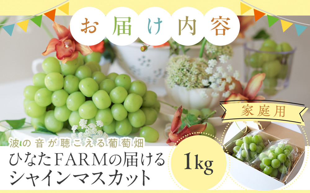 1039.【家庭用】波の音が聴こえる葡萄畑　ひなたFARM シャインマスカット