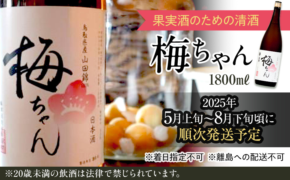 672. 果実酒のための清酒『梅ちゃん』※着日指定不可 ※離島への配送不可 ※2025年5月上旬～8月下旬頃に順次発送予定