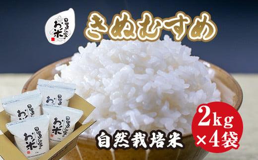 171.日置さん家の自然栽培米「きぬむすめ」精米　2kg×4袋 2025年産