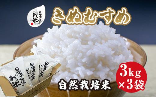 168.日置さん家の自然栽培米「きぬむすめ」精米　3kg×3袋 2025年産
