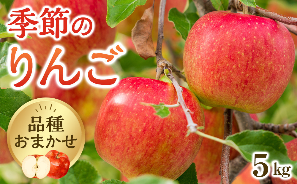 【品種はおまかせ】季節のりんご 5kg箱 ※2025年10月上旬～10月下旬頃に順次発送予定