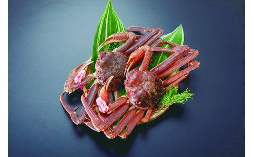 【活】タグ付き松葉ガニ　特大2枚※2025年11月上旬～2026年3月下旬頃に順次発送予定