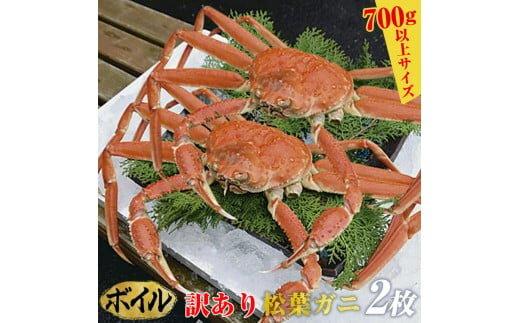 【ボイル】訳あり　松葉ガニ　2枚◇※2025年11月上旬～2026年3月下旬頃に順次発送予定※着日指定不可