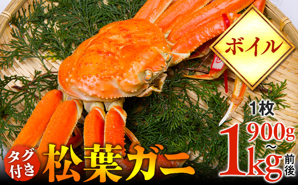【ボイル】タグ付き松葉ガニ　特大1枚（900g～1kg前後）【着日指定不可】※2025年11月上旬～2026年3月下旬頃に順次発送予定《かに カニ 蟹》