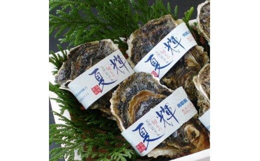 624.【2026年6月上旬以降発送 先行予約】鳥取県産　天然岩ガキ『夏輝』ブランドタグ付き　3個（400g以上×3個） 牡蠣 カキ※着日指定不可※2026年6月上旬～8月下旬頃に順次発送予定