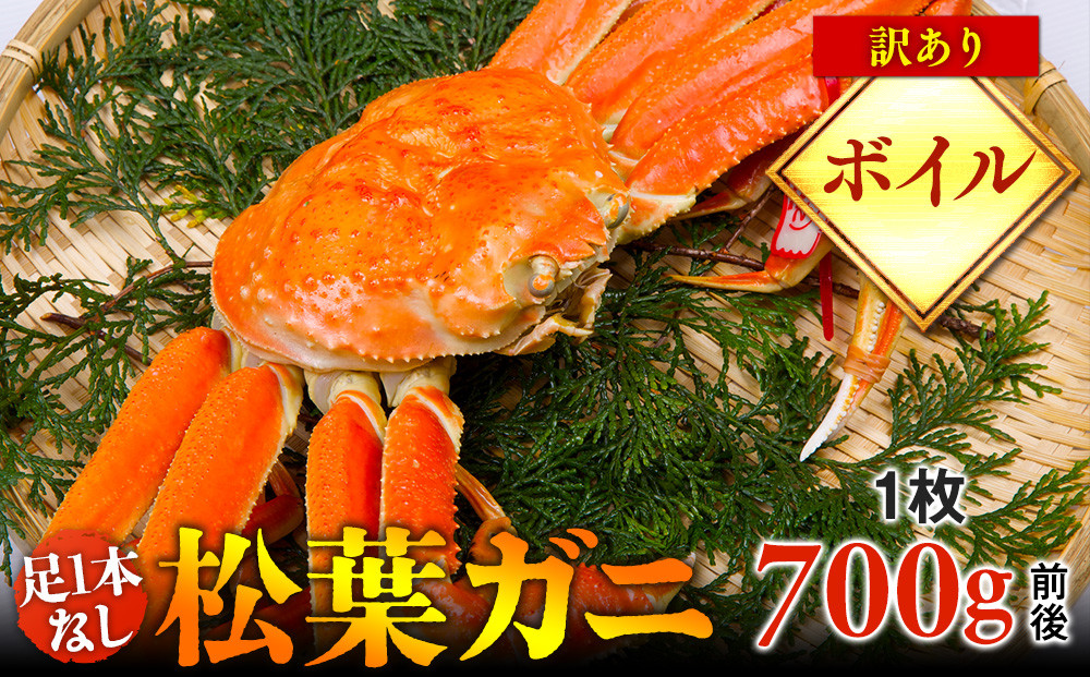 【ボイル】足1本なし　訳あり　松葉ガニ　中1枚（700g前後）【着日指定不可】※2025年11月上旬～2026年3月下旬頃に順次発送予定《かに カニ 蟹》