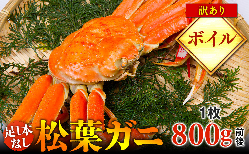 【ボイル】足1本なし　訳あり　松葉ガニ　大1枚（800g前後）【着日指定不可】※2025年11月上旬～2026年3月下旬頃に順次発送予定《かに カニ 蟹》