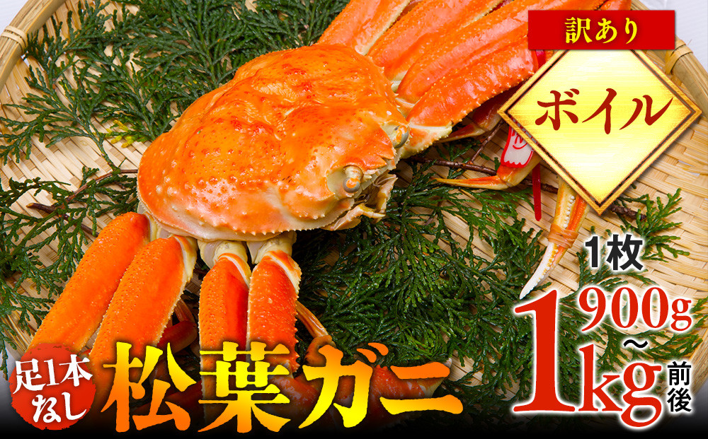 【ボイル】足1本なし　訳あり　松葉ガニ　特大1枚（900g～1kg前後）【着日指定不可】※2025年11月上旬～2026年3月下旬に順次発送予定