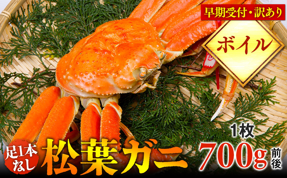 【早期受付】【ボイル】足1本なし　訳あり　松葉ガニ　中1枚（700g前後）《かに カニ 蟹 ズワイガニ 》※着日指定不可※2025年11月上旬頃から順次発送予定