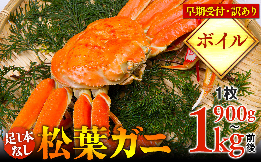 【早期受付】【ボイル】足1本なし　訳あり　松葉ガニ　特大1枚（900g～1kg前後）《かに カニ 蟹 ズワイガニ 》※着日指定不可※2025年11月上旬頃から順次発送予定