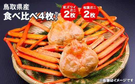 鳥取県産松葉ガニと紅ズワイガニの食べ比べセット※着日指定不可※離島への配送不可※2026年2月上旬～3月下旬頃に順次発送予定