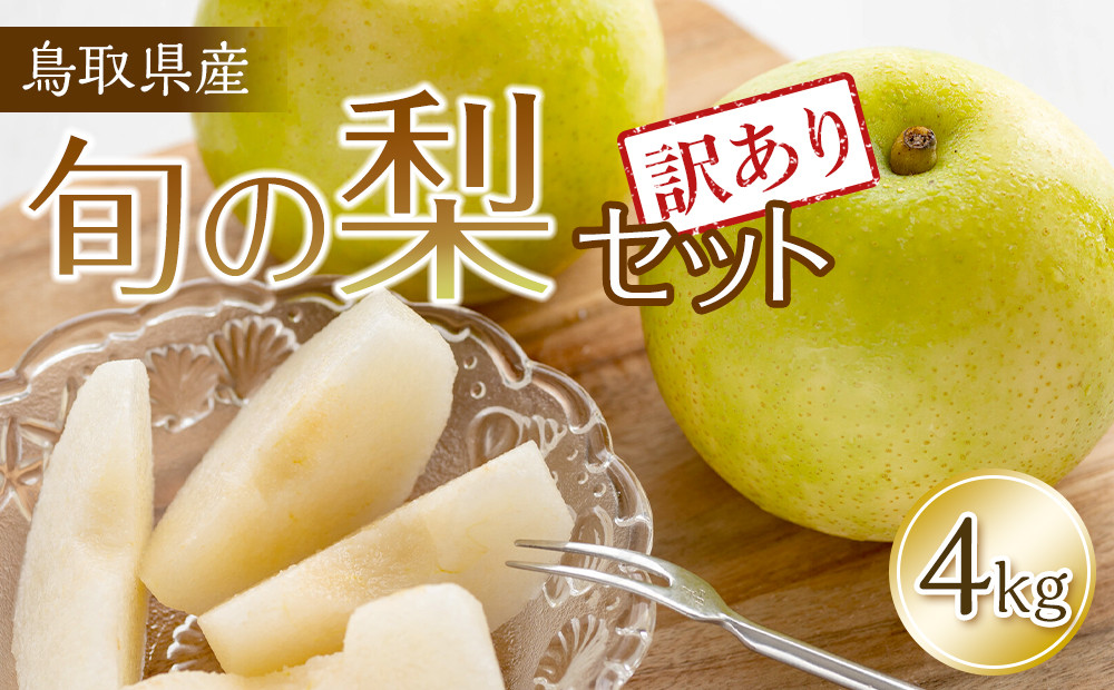 【訳あり】鳥取県産旬の梨セット 4kg ≪果物 フルーツ くだもの≫　※2025年8月下旬頃～12月下旬頃に順次発送予定
