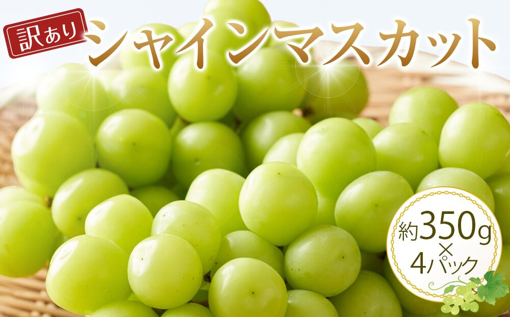 929.【先行予約】【訳あり】シャインマスカット 350g前後×4パック ≪果物 フルーツ くだもの≫　※2026年8月下旬頃～9月下旬頃に順次発送予定