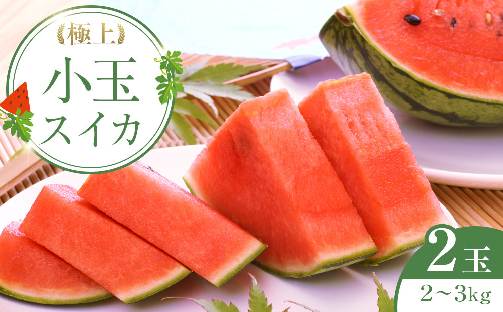 248.【先行予約】極上小玉スイカ　２玉　※6月上旬～8月中旬頃に順次発送予定