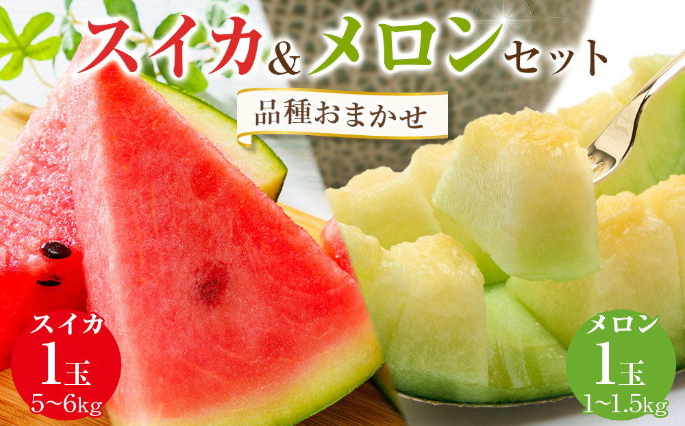 252.【先行予約】【品種はおまかせ】スイカ(5～6kg×1玉)＋メロン(1～1.5kg前後×1玉)セット鳥取県産◇ ≪すいか 果物 フルーツ くだもの 鳥取県北栄町≫ ※6月上旬～7月下旬頃に順次発送予定（こちらの返礼品は、大栄西瓜ではありません）