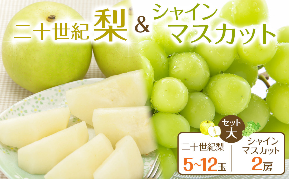 285.【先行予約】二十世紀梨とシャインマスカットのセット　大◇　※8月下旬～9月下旬頃に順次発送予定
