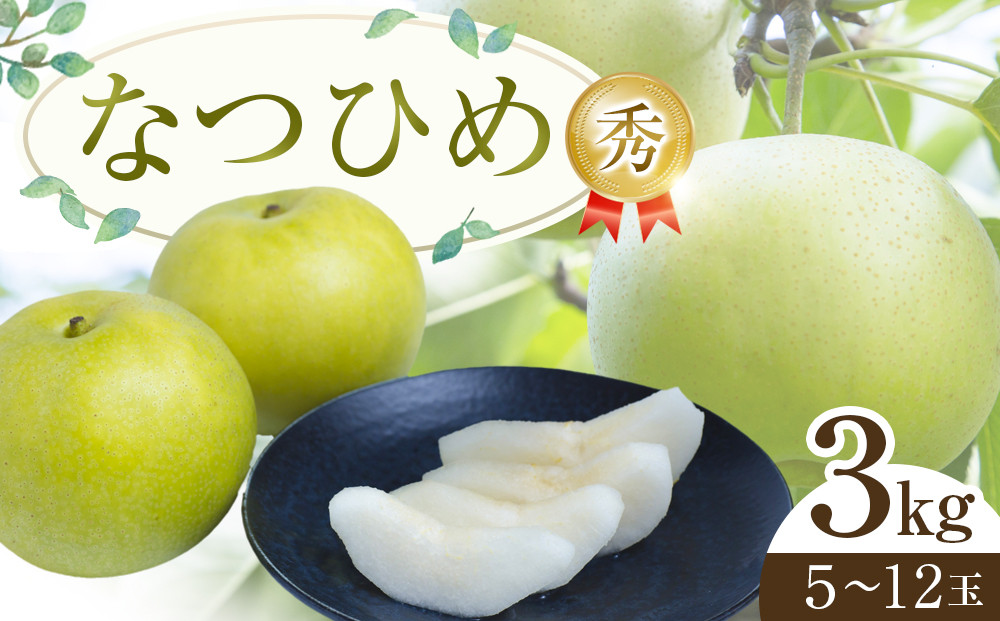 300.【先行予約】なつひめ◇　※2026年8月中旬～9月上旬頃に順次発送予定