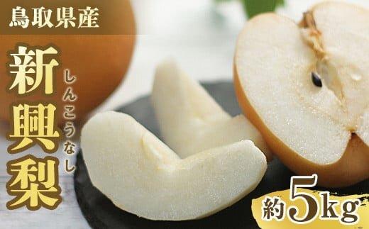 302.【先行予約】新興梨 5～18玉前後 5kg前後 ※10月～11月下旬頃に順次発送予定