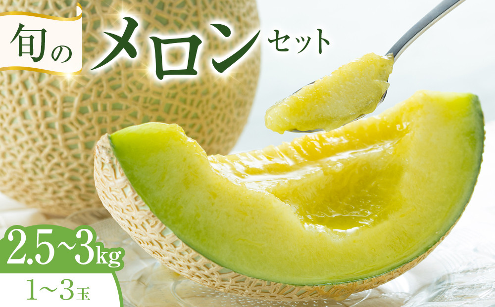 318.【先行予約】旬のメロンセット◇ ※6月上旬～7月下旬頃に順次発送予定
