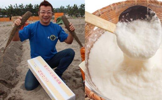 321.≪先行受注≫ ねばりっこ　3～4本 ｜ 新芋 ながいも 長芋 鳥取県産 鳥取県オリジナル品種 山芋　※2025年11月上旬～2026年4月中旬頃に順次発送予定