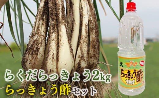 327.【先行予約】朝堀りらくだらっきょうと老舗のらっきょう酢セット　※5月中旬～6月下旬頃に順次発送予定